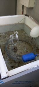 WhatsApp Image 2023-05-31 at 12.30.43